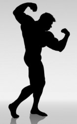 Benutzeravatar